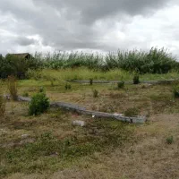 328 متر مربع زمین مسکونی در شمال|فروش زمین و ملک کلنگی|قائمشهر, |دیوار