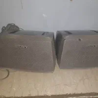 جفت باندسونی