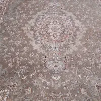 فرش یاسین|فرش|شهرضا, |دیوار