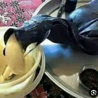 روغن حیوانی