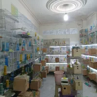 قفس۴خوان پایه دار کوتوله عروس گرینچیک قناری کفتر|پرنده|مشهد, گلبرگ شمالی|دیوار