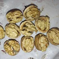 گردو درجه یک صادراتی تویسرکان
