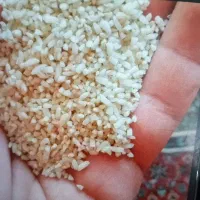 برنج محلی.نیم دانه.نیمدانه۱۶۰هزار