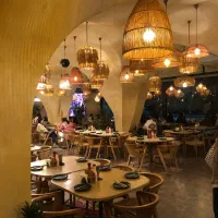 همکار سالندا