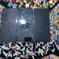 شیامی نوت ۱۳