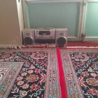 ضبط نو
