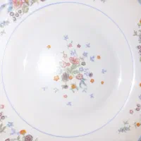 ست بشقاب و دیس قدیمی لومینارک اصل فرانسه