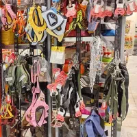 انواع قلاده سگ و گربه ، قلاده های کیوت و رنگی