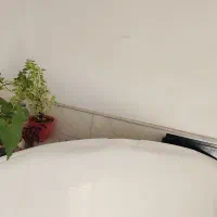 کاپوت پژو پارس (پرشیا)