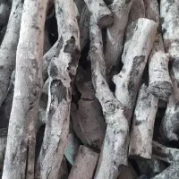 زغال سفید|کوهنوردی و کمپینگ|رفسنجان, |دیوار