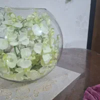 گل وگلدون تزئینی فروش فوری ۹۰۰ تومن