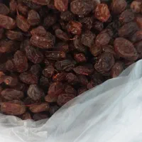 کشمشدرجهیک