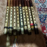 نی تکی در قاب آموزشی