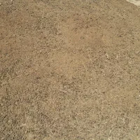 کود گوسفندای|خدمات باغبانی و درختکاری|بروجرد, |دیوار