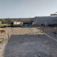 فروش دامداری واقع در ویستان پایین|فروش دفتر صنعتی، کشاورزی، تجاری|خرمدره, |دیوار