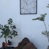 اجاره-اتاق-و-صندلی-در-سالن-زیبایی