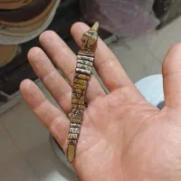 تسبیح خرما