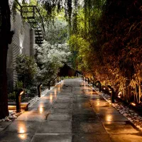 ویتر و سالنکار خانم و آقا