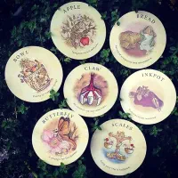 فال تاروت|فعالیت داوطلبانه|سهند, |دیوار