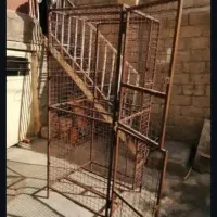 قفس خروس لاری