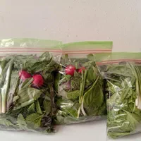 سبزی خوردن پاک شده