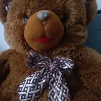 عروسک خرسی|اسباب‌بازی بچه|پرند, فاز ۶|دیوار