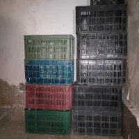 سبد گوجه ومیوه