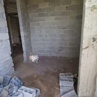 سوییت راه جدا با پارکینگ|فروش آپارتمان|املش, |دیوار