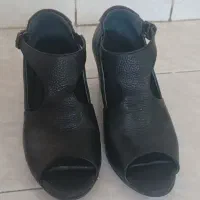تعدادی کفش اسپرت و مجلسی
