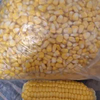 بلال دون شده مکزیکی|خوردنی و آشامیدنی|تهران, امام زاده عبدالله|دیوار