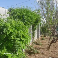 فروش باغچه(زمین مسکونی روستایی) در ۱۸Km کرمانشاه|فروش زمین و ملک کلنگی|کرمانشاه, |دیوار