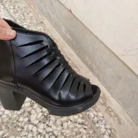کفش مجلسی