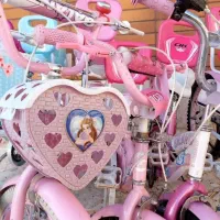 منبع دوچرخه ۲۰ صورتی قرمز آبی حتی جمعه باز هستیم|دوچرخه، اسکیت، اسکوتر|شاهینشهر, خانه کارگر|دیوار