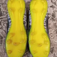 کفش استوک‌ دار|کیف، کفش، کمربند|شیراز, زرهی|دیوار