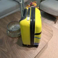 چمدان کودک|کیف، کفش، کمربند|یزد, |دیوار