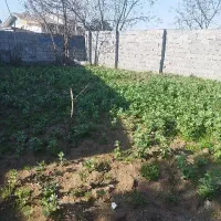 150متر-زمین-کاملا-مسکونی-چمخاله