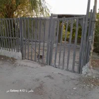 باغ انگور بادرختان بادام وغیره