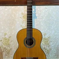 گیتار در حد نو|گیتار، بیس، امپلیفایر|فومن, |دیوار