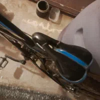 کالا