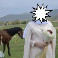 لباس مجلسی