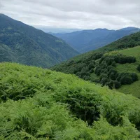 واحد چهار طبقه (چهار نفره)هر طبقه یک در جمعه بازار