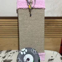 اسکرچر گردنی و الیزابت گربه