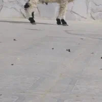 برهنر|حیوانات مزرعه|هامون, |دیوار