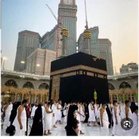 فروش فوری فیش حج