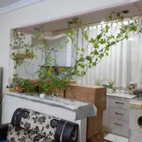 اجاره آپارتمان ۷۰ متری ۱ خوابه طبقه ۲ در جوادیه|اجارهٔ آپارتمان|تهران, جوادیه|دیوار