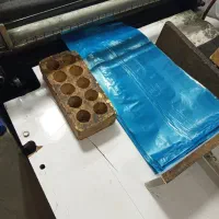 ظروف یکبار مصرف