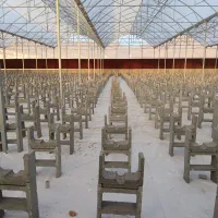 زیر بستر کشت گلخانه بتنی|مصالح و تجهیزات ساختمان|اصفهان, باغ نگاره|دیوار