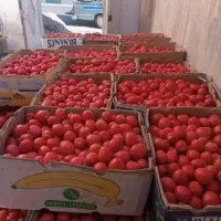 گوجه