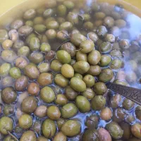 محصولات اورگانیک|خوردنی و آشامیدنی|باغستان, |دیوار