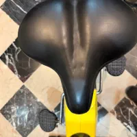 دوچرخه ثابت